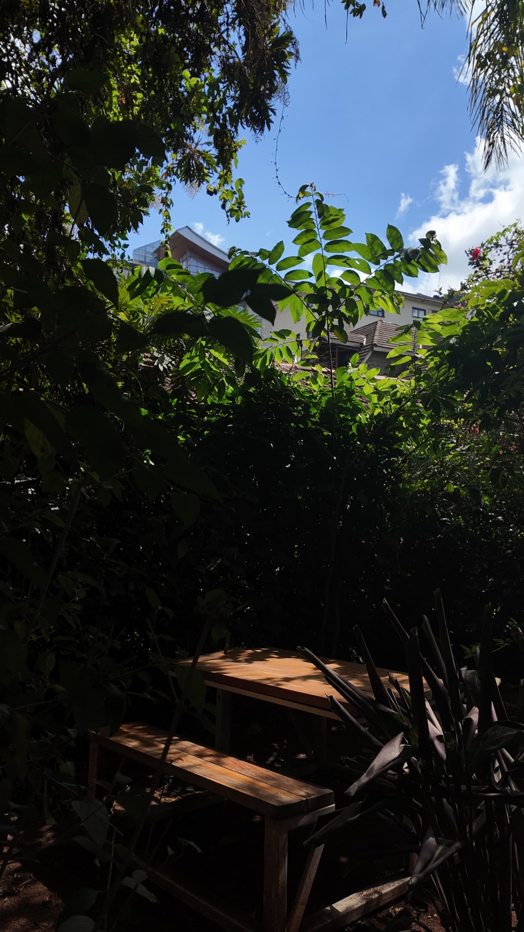Hotel garden path